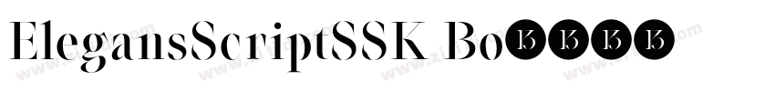 ElegansScriptSSK Bo字体转换